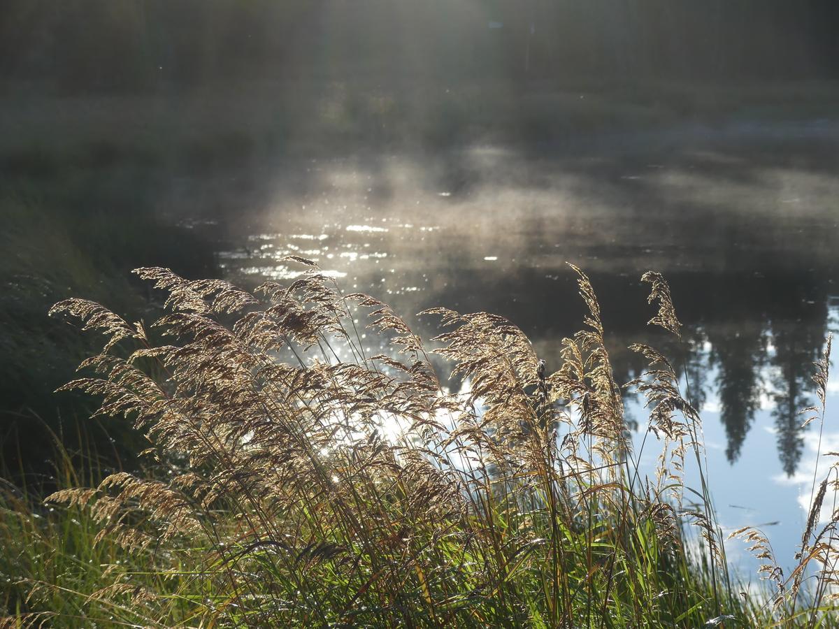 Schott'S Lake Conference & Resort Sundre Buitenkant foto