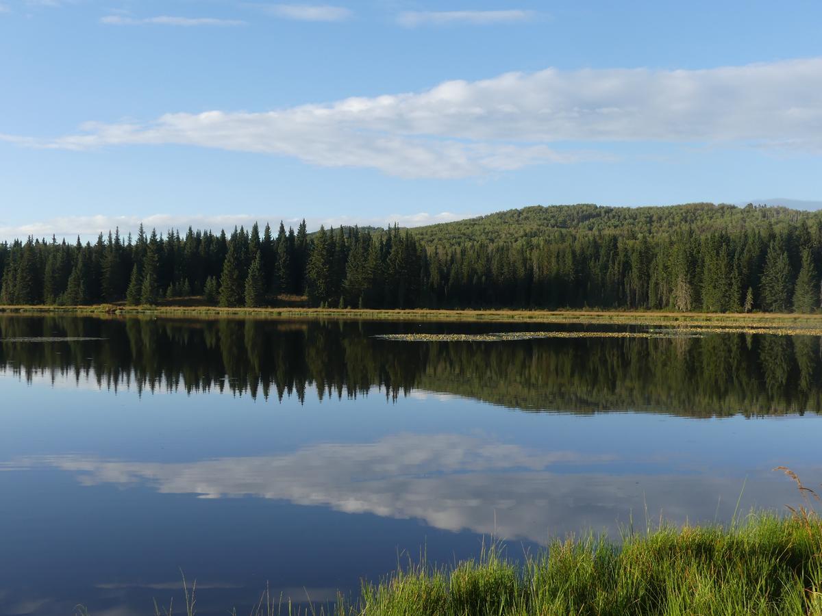 Schott'S Lake Conference & Resort Sundre Buitenkant foto